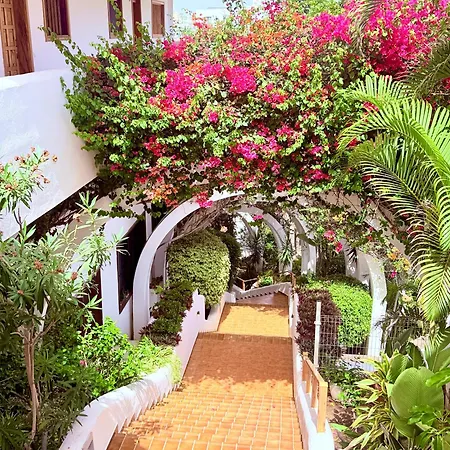 Apartment Bright 1br With Views & Pool, Fanabe Beach, La510